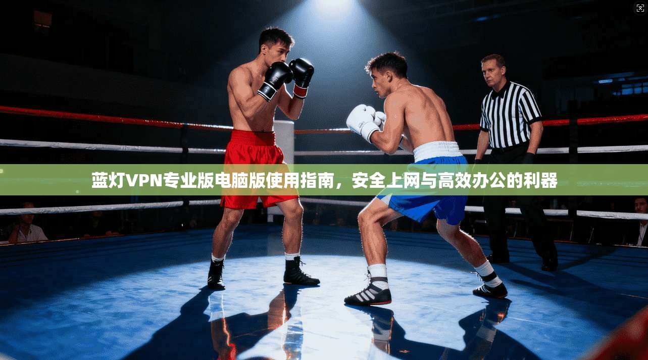 蓝灯VPN专业版电脑版使用指南，安全上网与高效办公的利器