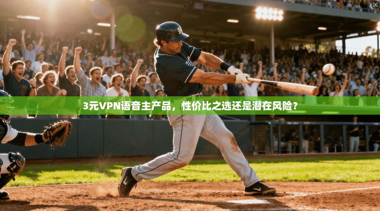 3元VPN语音主产品，性价比之选还是潜在风险？