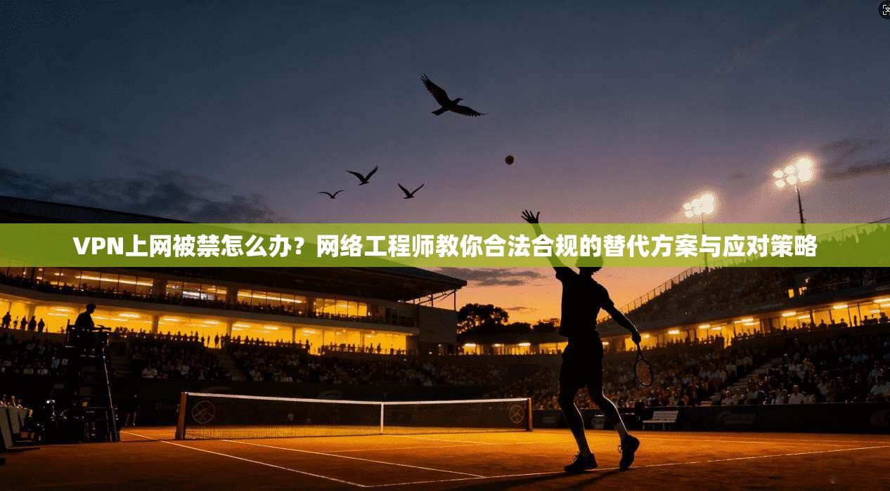 VPN上网被禁怎么办?网络工程师教你合法合规的替代方案与应对策略