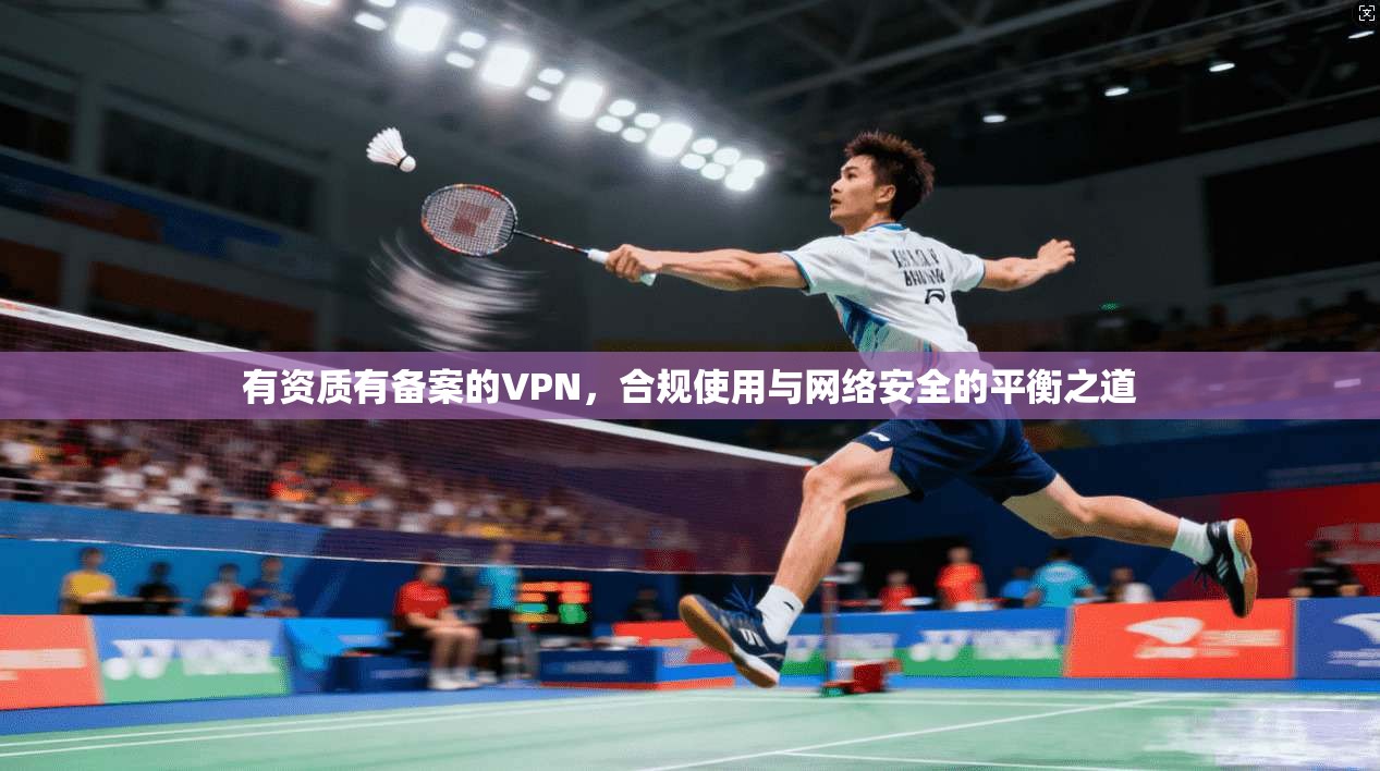 有资质有备案的VPN，合规使用与网络安全的平衡之道