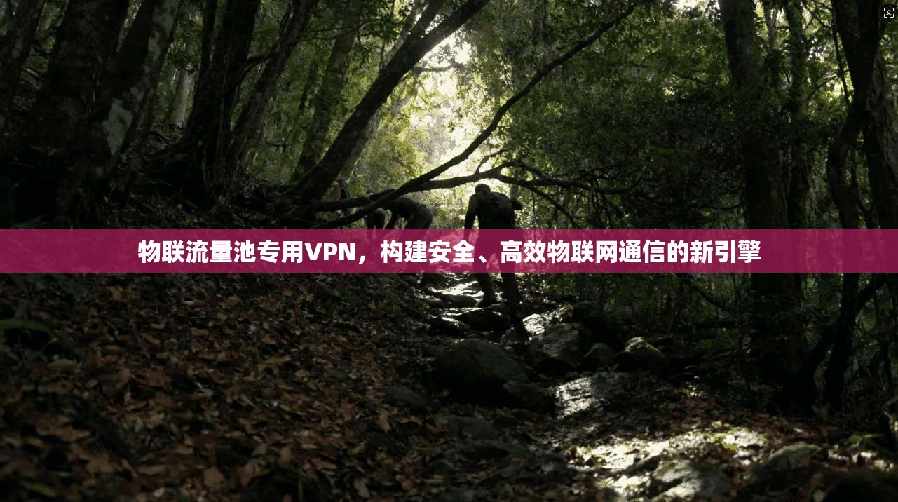 物联流量池专用VPN，构建安全、高效物联网通信的新引擎