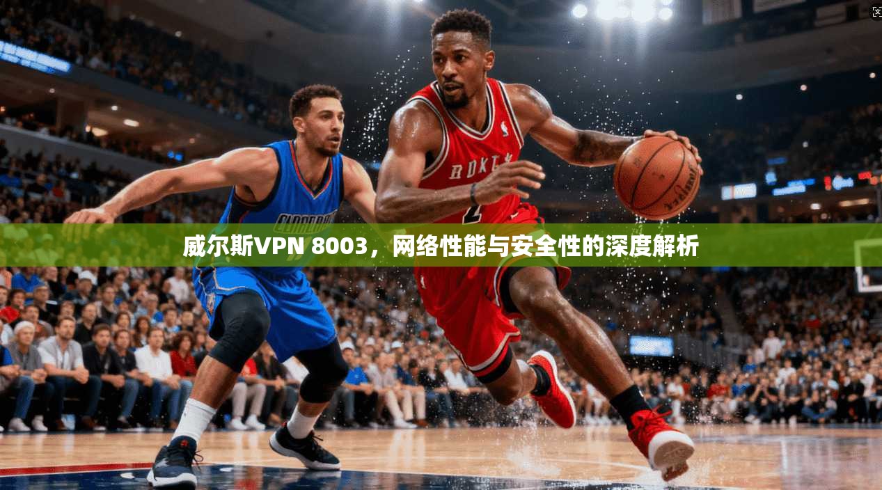 威尔斯VPN 8003，网络性能与安全性的深度解析