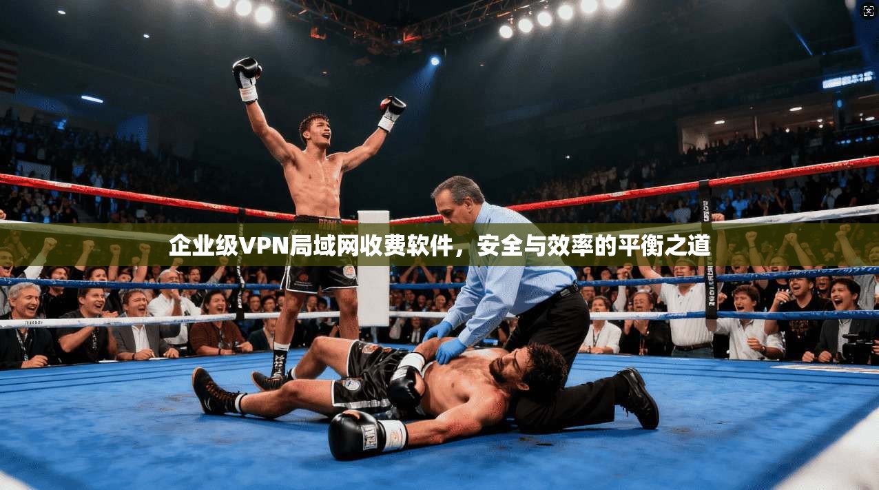 企业级VPN局域网收费软件，安全与效率的平衡之道