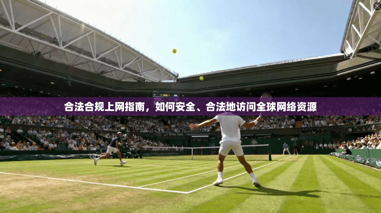 合法合规上网指南，如何安全、合法地访问全球网络资源