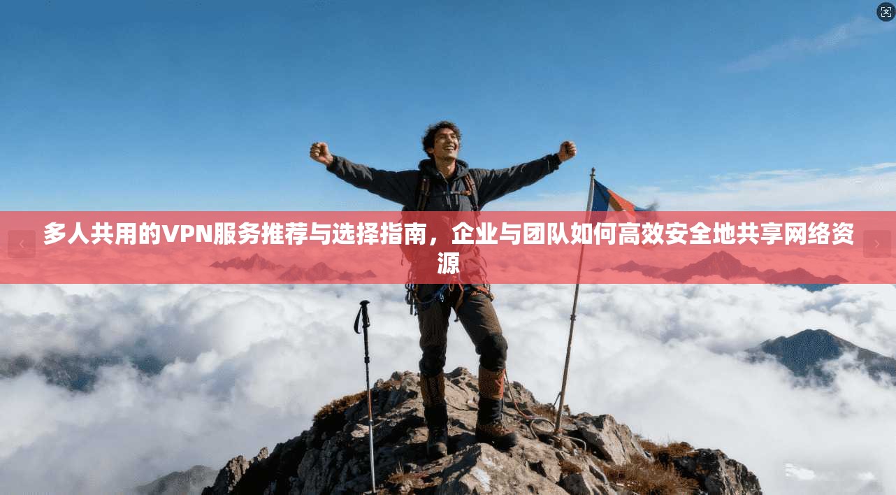 多人共用的VPN服务推荐与选择指南，企业与团队如何高效安全地共享网络资源