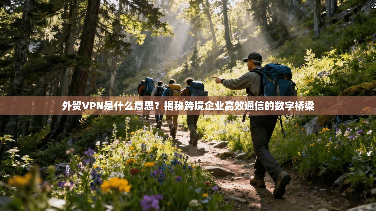 外贸VPN是什么意思？揭秘跨境企业高效通信的数字桥梁