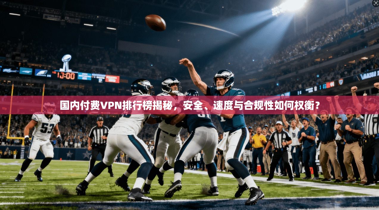 国内付费VPN排行榜揭秘，安全、速度与合规性如何权衡？