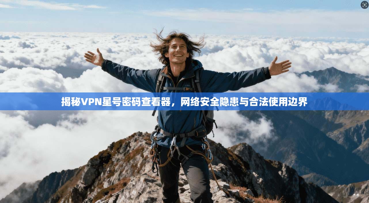 揭秘VPN星号密码查看器，网络安全隐患与合法使用边界