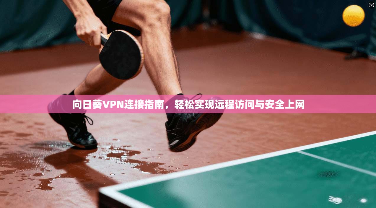 向日葵VPN连接指南，轻松实现远程访问与安全上网