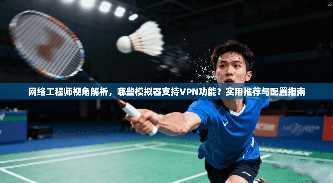 网络工程师视角解析，哪些模拟器支持VPN功能？实用推荐与配置指南