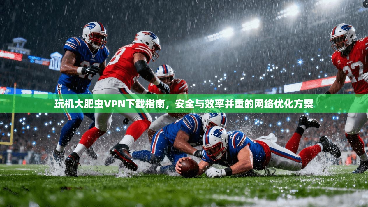 玩机大肥虫VPN下载指南，安全与效率并重的网络优化方案