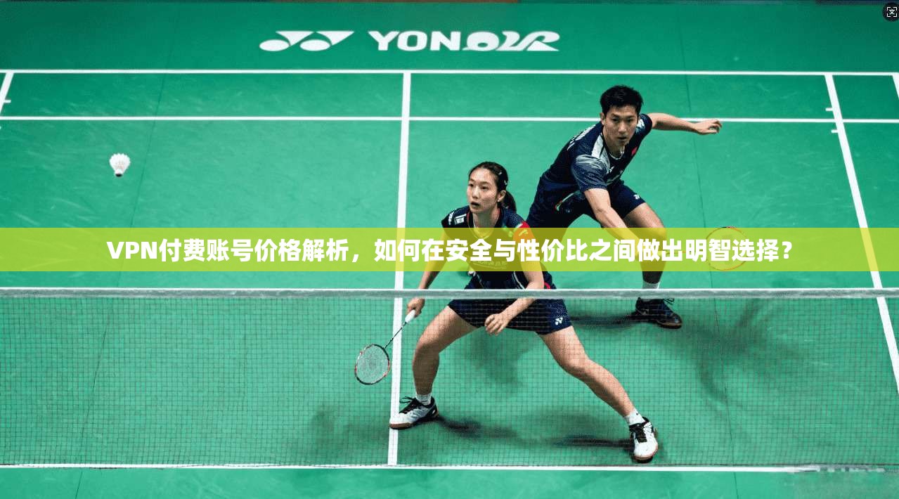 VPN付费账号价格解析，如何在安全与性价比之间做出明智选择？