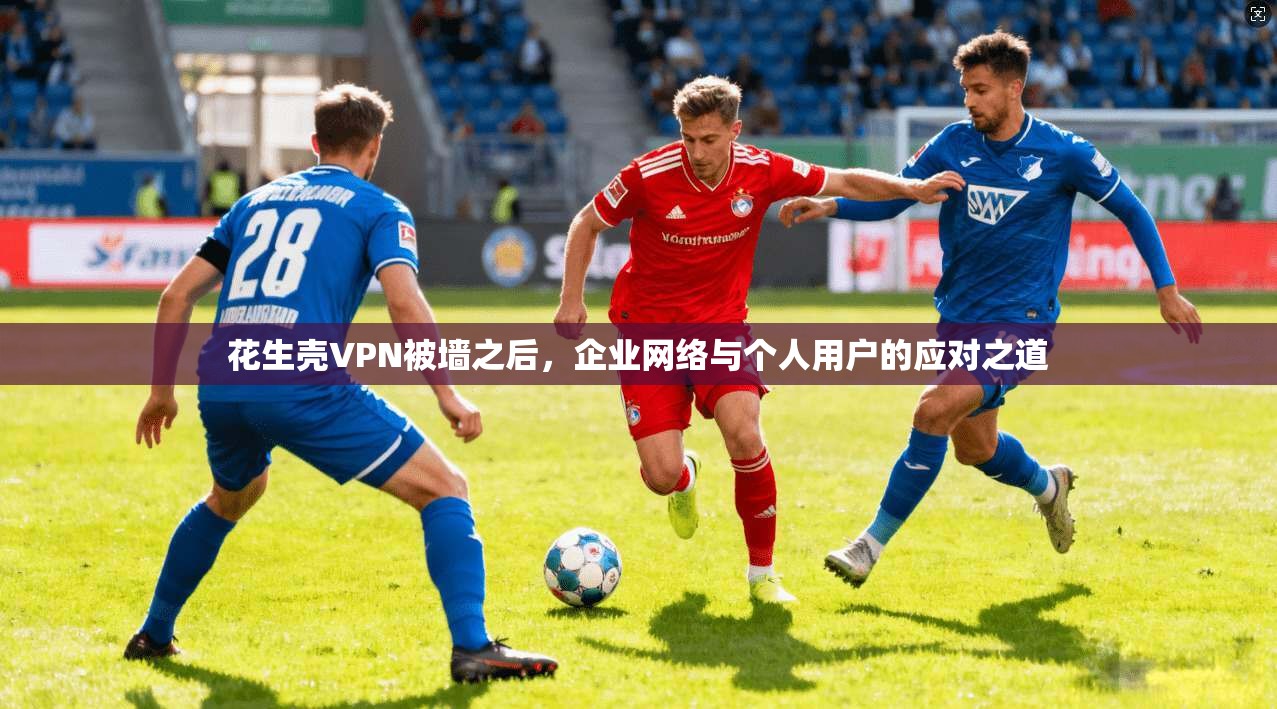 花生壳VPN被墙之后，企业网络与个人用户的应对之道