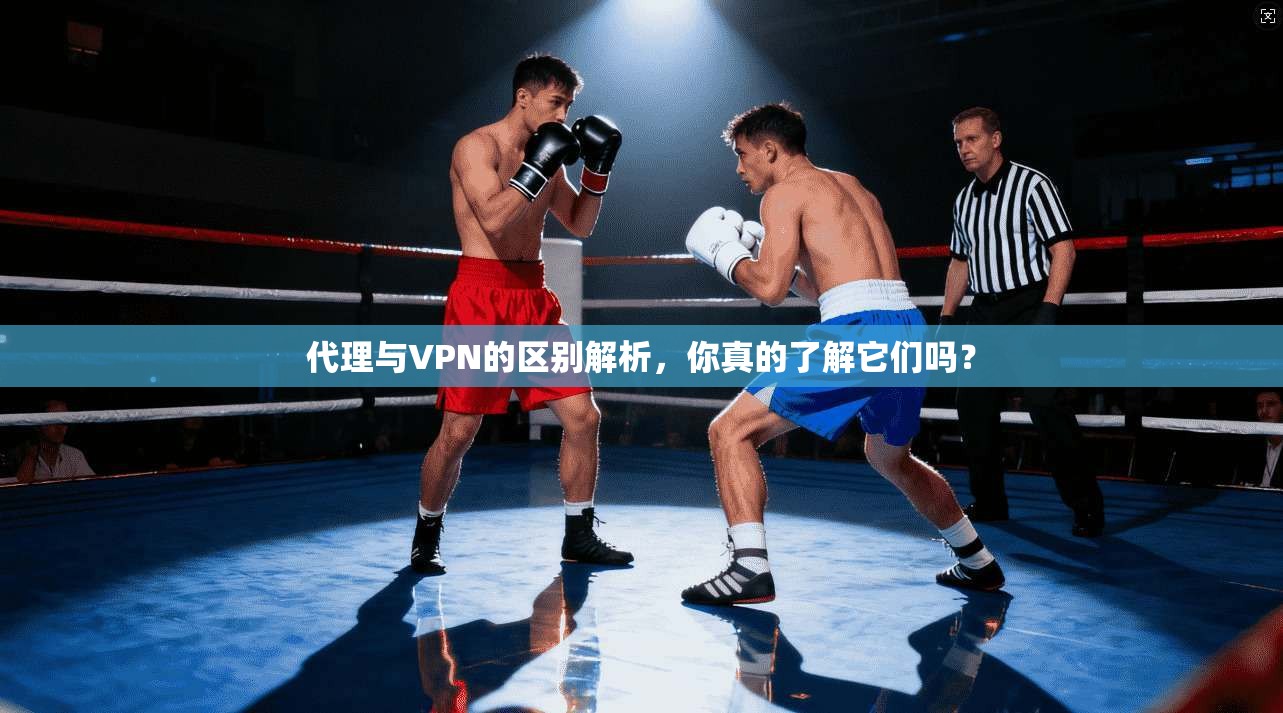 代理与VPN的区别解析,你真的了解它们吗?