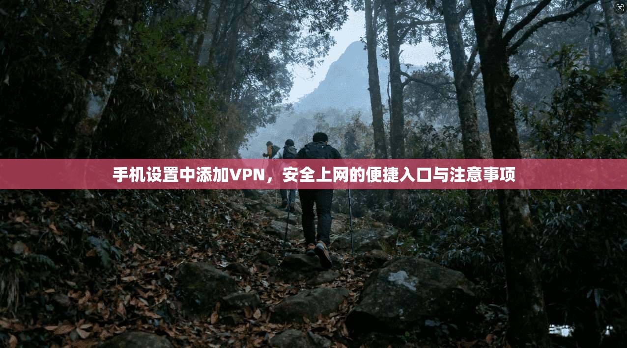 手机设置中添加VPN，安全上网的便捷入口与注意事项