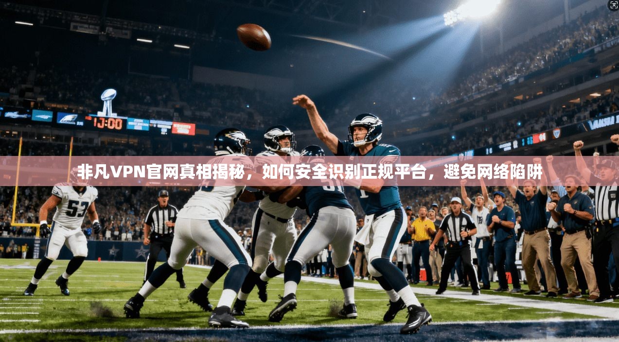 非凡VPN官网真相揭秘，如何安全识别正规平台，避免网络陷阱