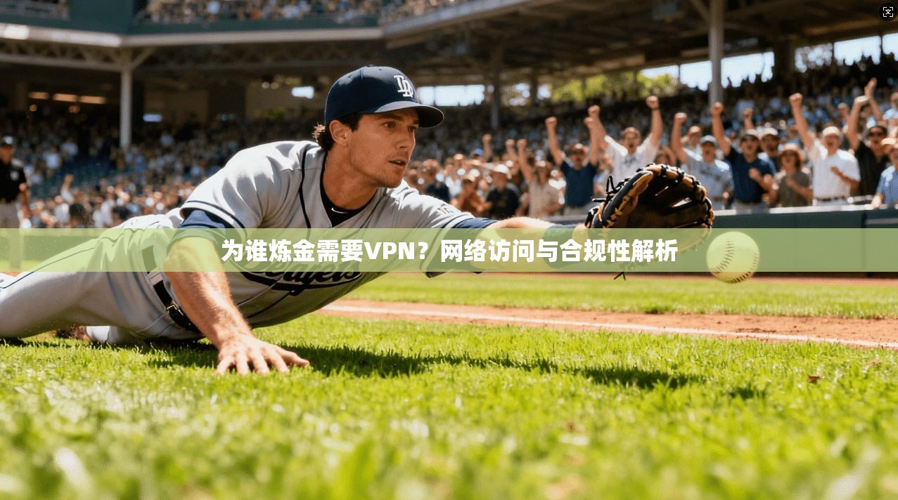 为谁炼金需要VPN？网络访问与合规性解析