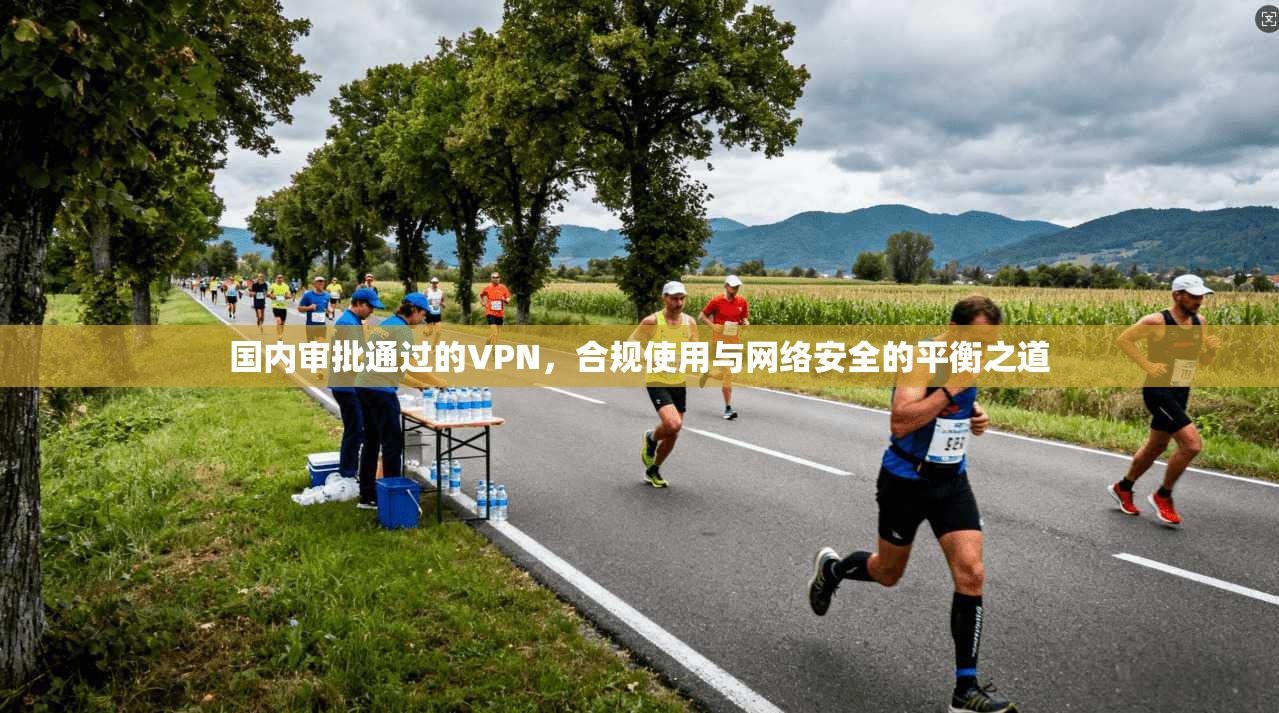 国内审批通过的VPN,合规使用与网络安全的平衡之道 国内审批通过的VPN,合规使用与网络安全的平衡之道