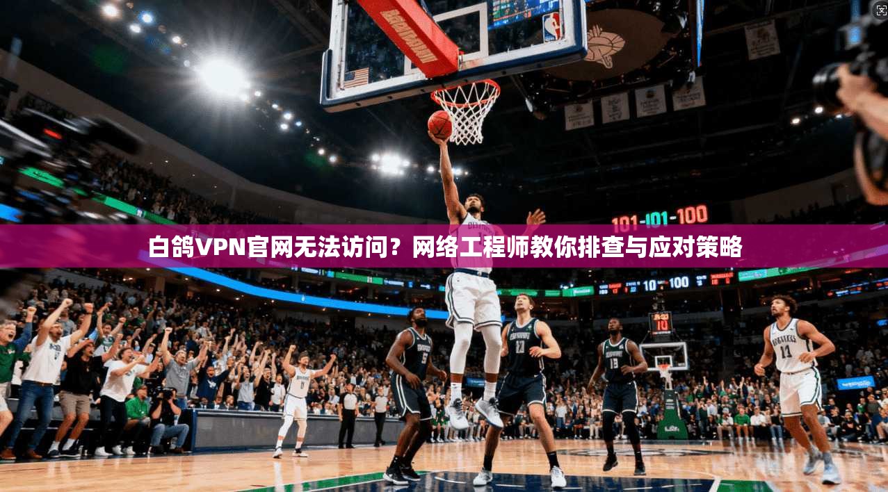 白鸽VPN官网无法访问？网络工程师教你排查与应对策略