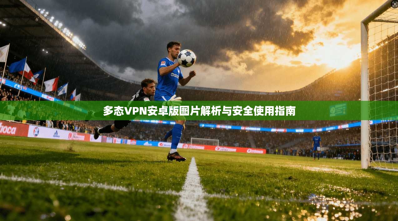 多态VPN安卓版图片解析与安全使用指南