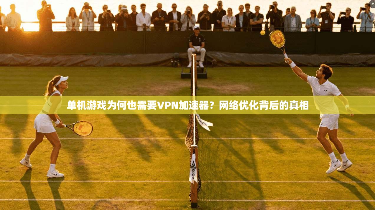 单机游戏为何也需要VPN加速器?网络优化背后的真相 单机游戏为何也需要VPN加速器?网络优化背后的真相