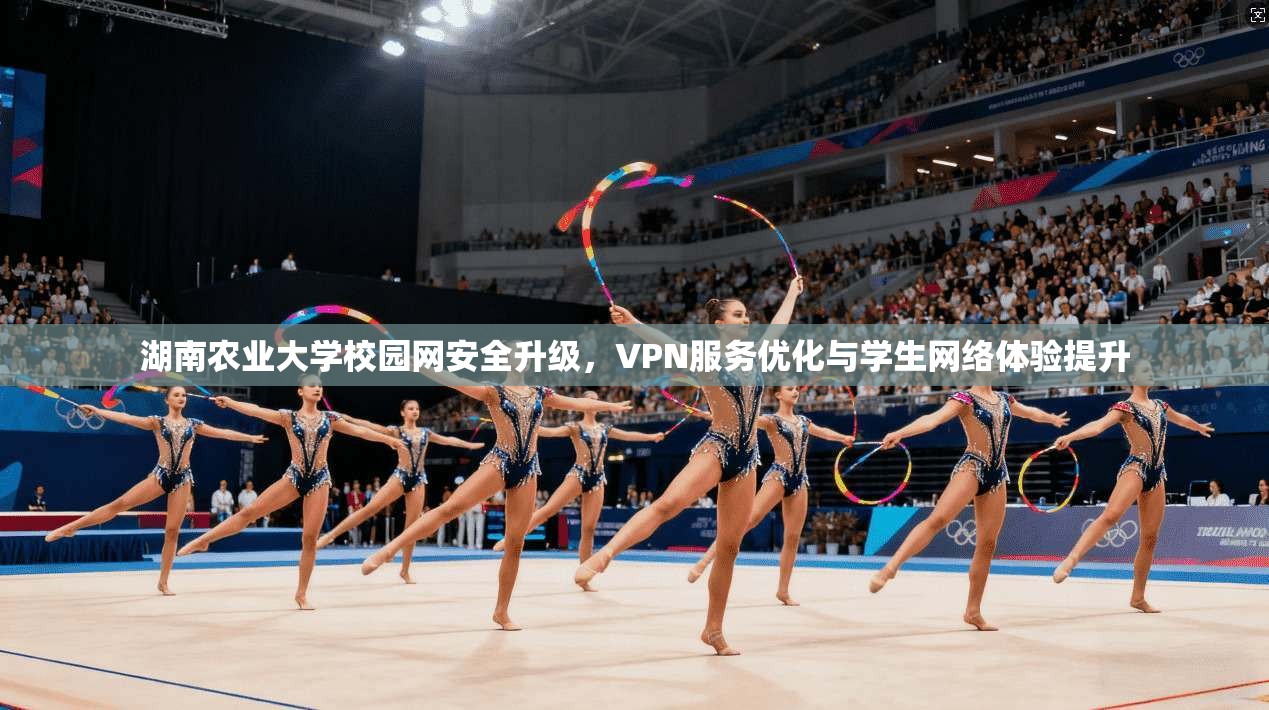 湖南农业大学校园网安全升级，VPN服务优化与学生网络体验提升