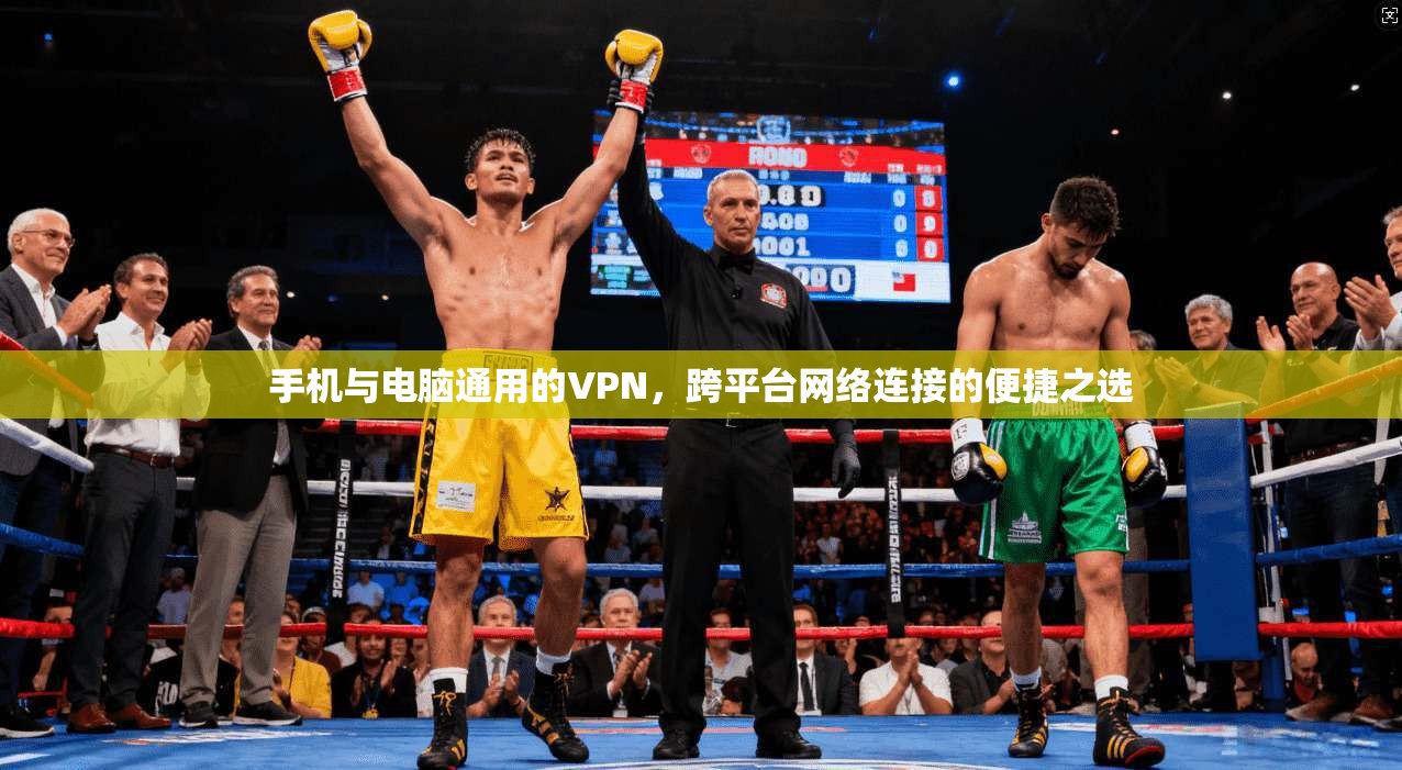手机与电脑通用的VPN，跨平台网络连接的便捷之选