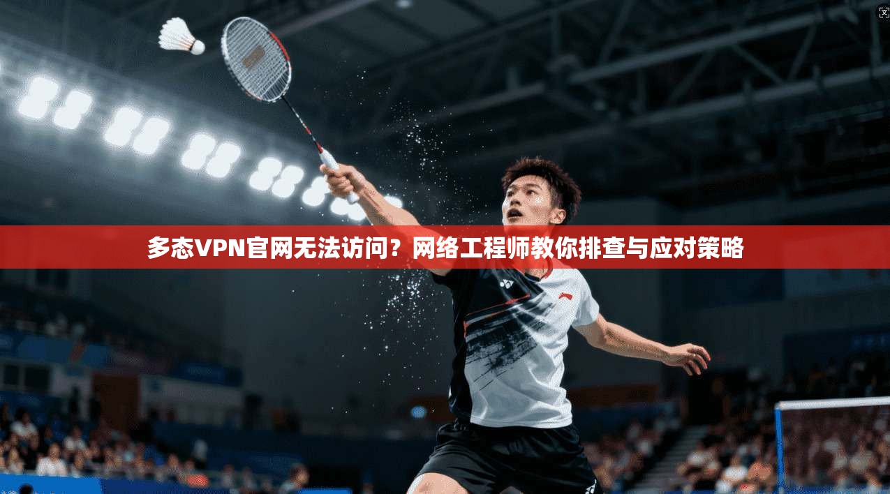 多态VPN官网无法访问?网络工程师教你排查与应对策略