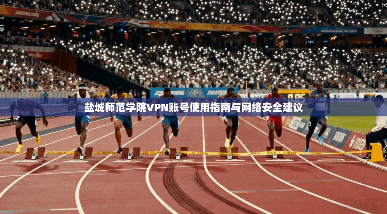 盐城师范学院VPN账号使用指南与网络安全建议