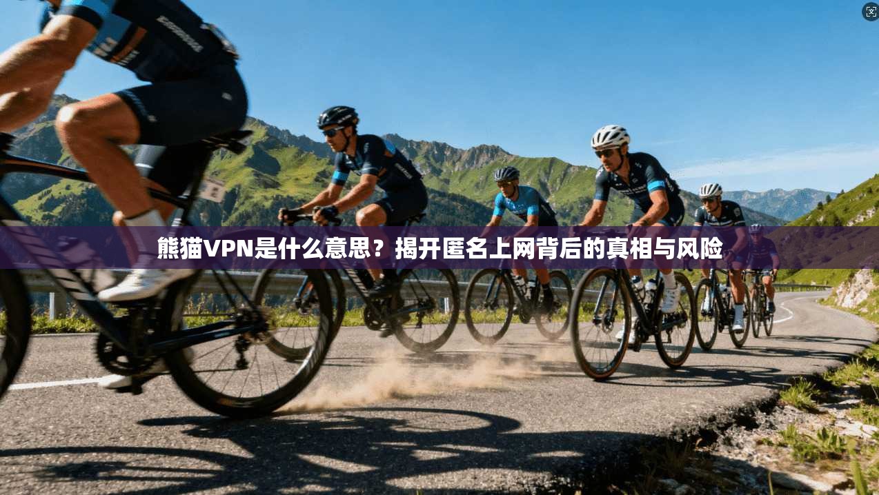 熊猫VPN是什么意思？揭开匿名上网背后的真相与风险
