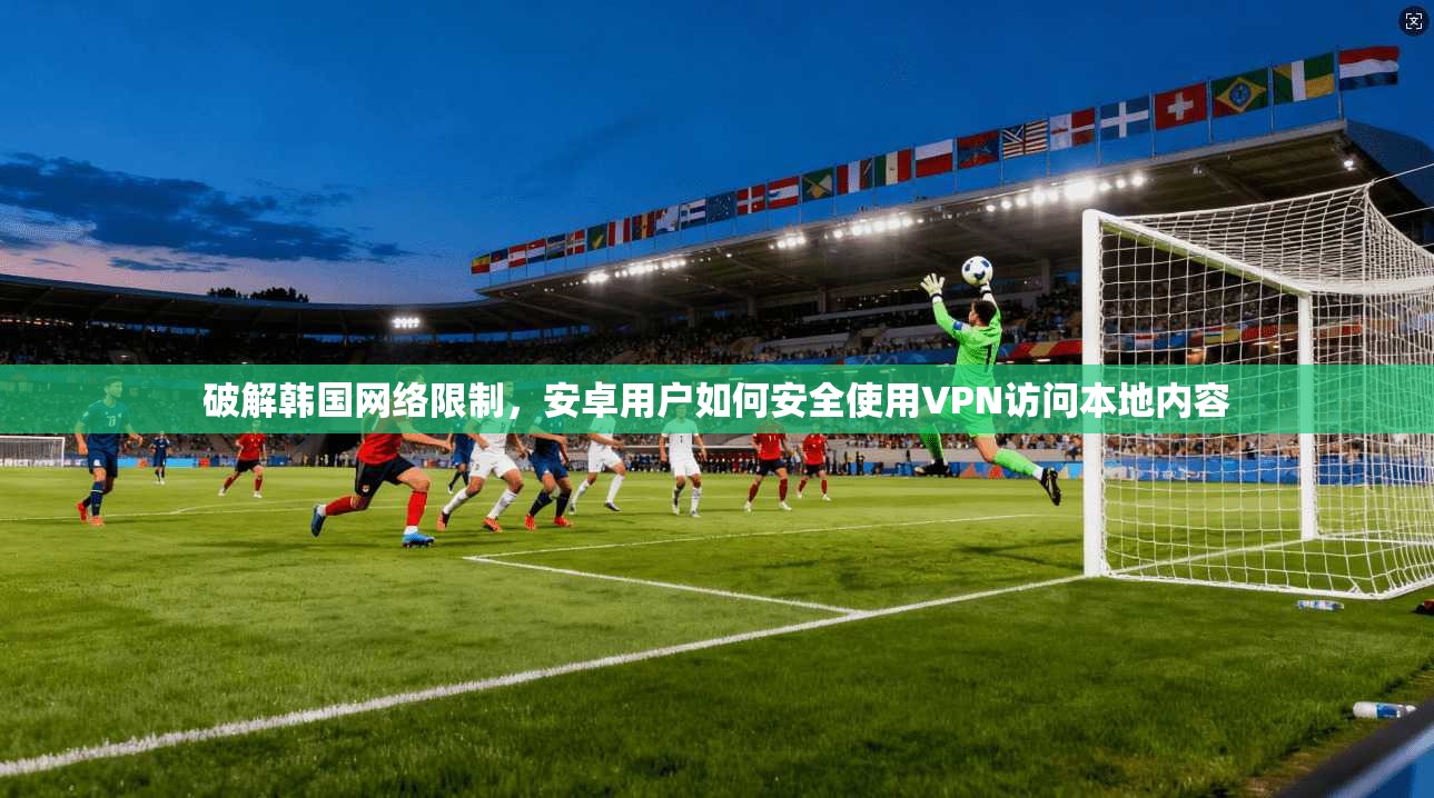 破解韩国网络限制，安卓用户如何安全使用VPN访问本地内容