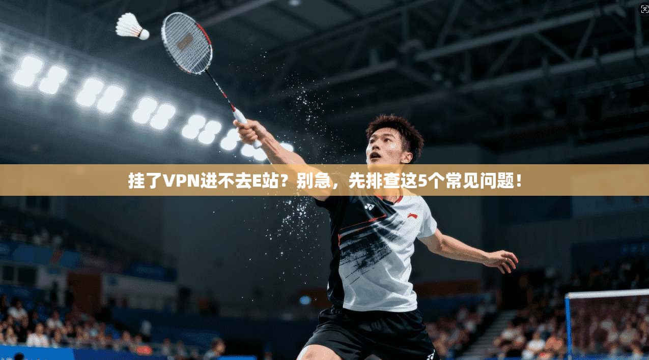 挂了VPN进不去E站?别急,先排查这5个常见问题!