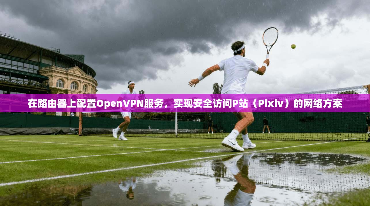 在路由器上配置OpenVPN服务,实现安全访问P站(Pixiv)的网络方案