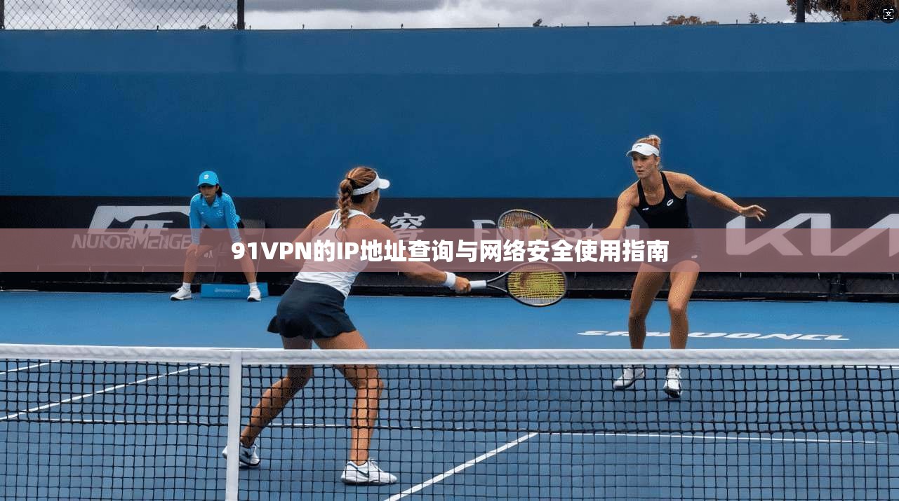 91VPN的IP地址查询与网络安全使用指南