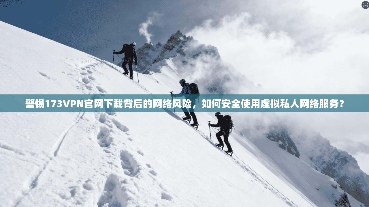 警惕173VPN官网下载背后的网络风险，如何安全使用虚拟私人网络服务？