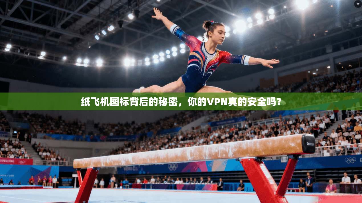 纸飞机图标背后的秘密,你的VPN真的安全吗?