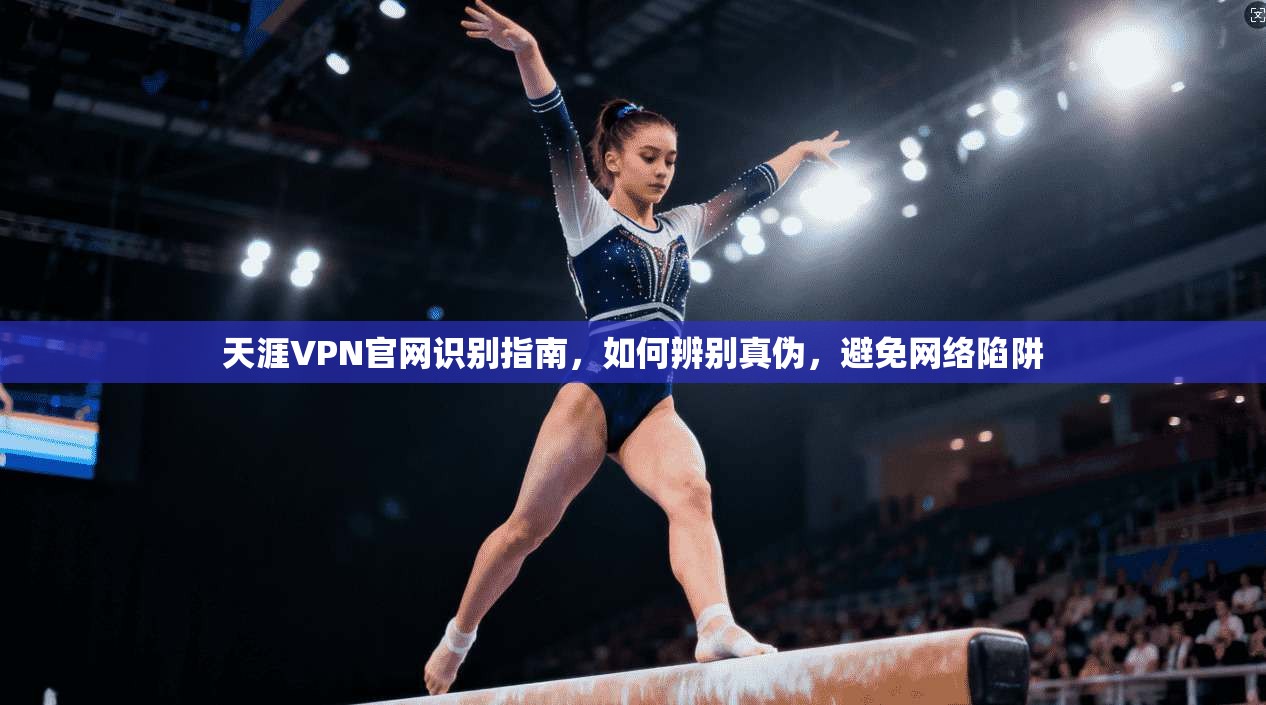 天涯VPN官网识别指南,如何辨别真伪,避免网络陷阱