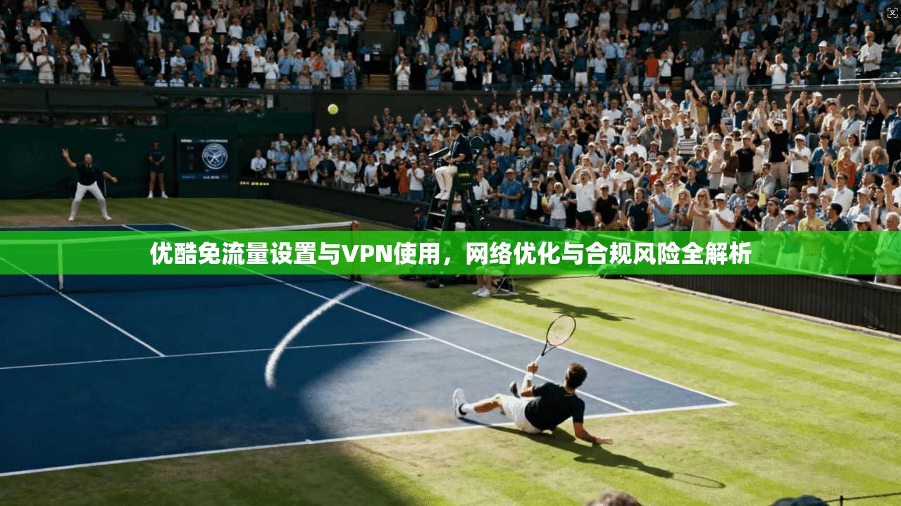 优酷免流量设置与VPN使用,网络优化与合规风险全解析