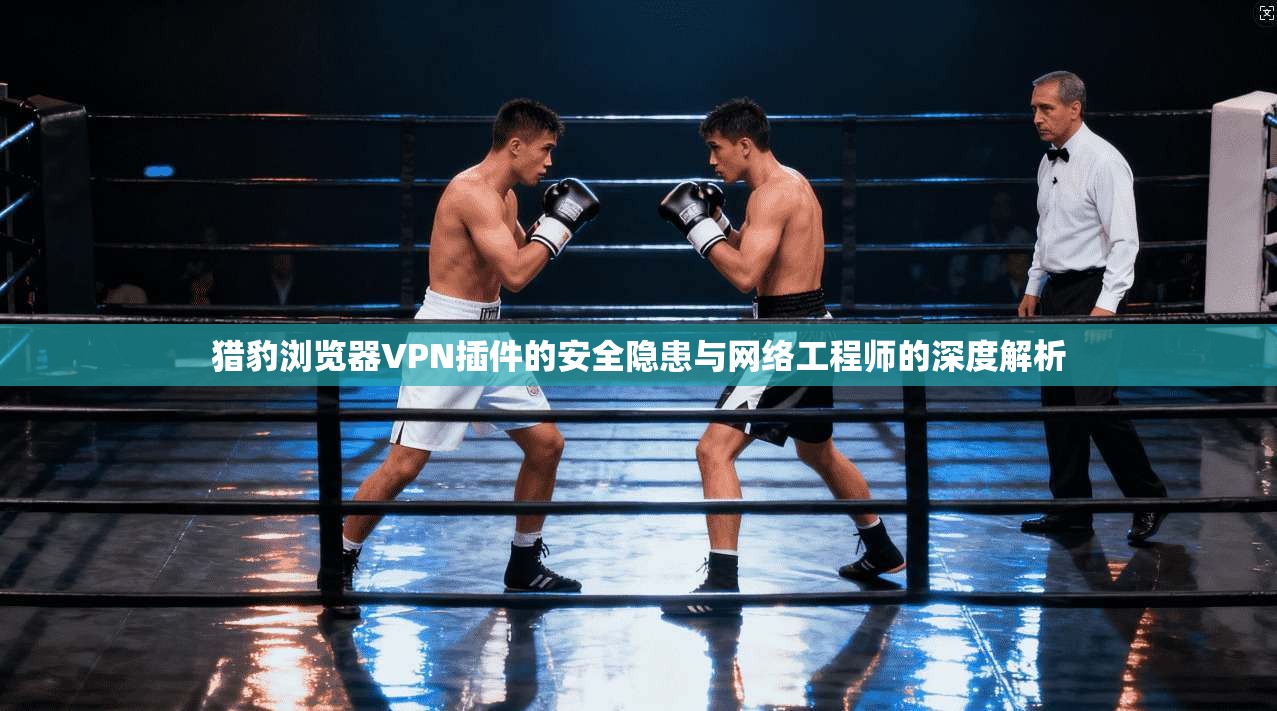猎豹浏览器VPN插件的安全隐患与网络工程师的深度解析
