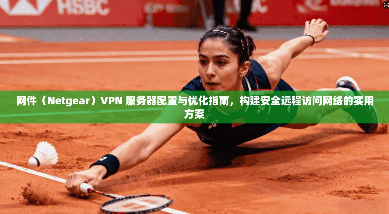 网件（Netgear）VPN 服务器配置与优化指南，构建安全远程访问网络的实用方案