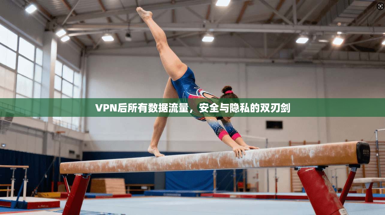 VPN后所有数据流量,安全与隐私的双刃剑 VPN后所有数据流量,安全与隐私的双刃剑