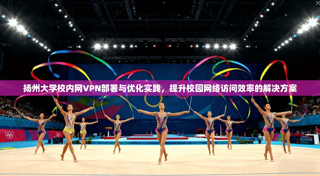 扬州大学校内网VPN部署与优化实践，提升校园网络访问效率的解决方案