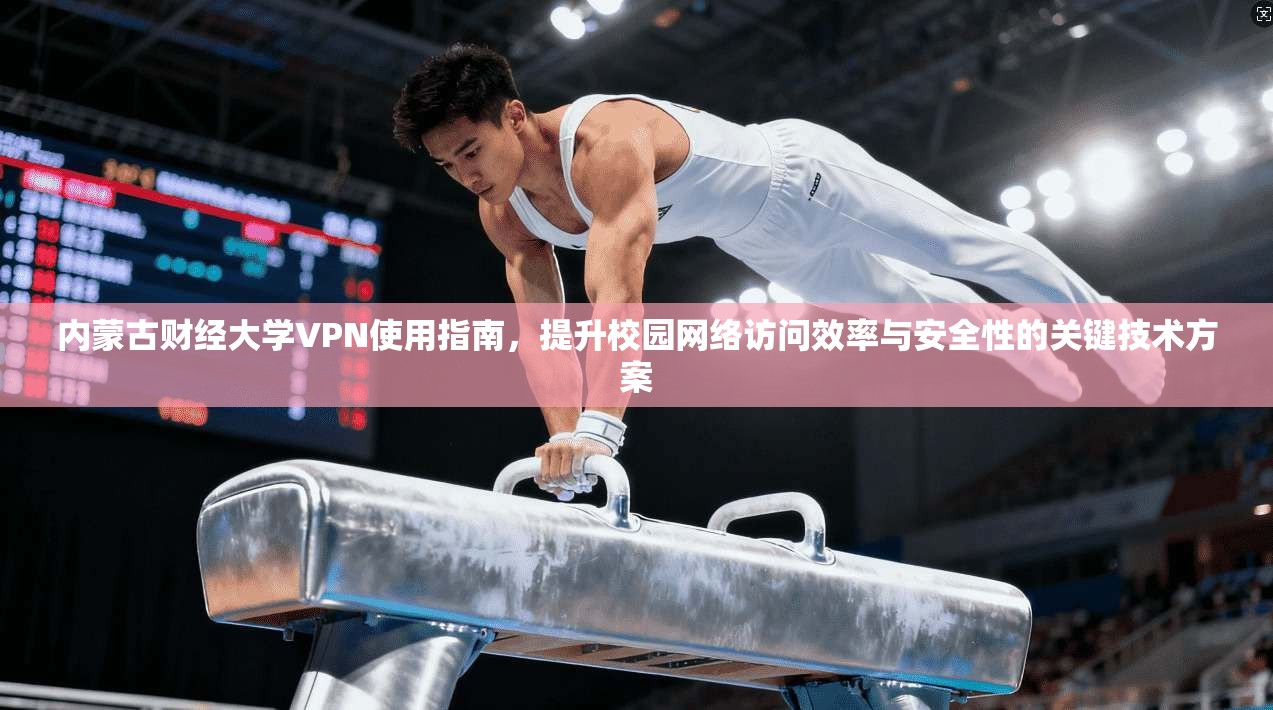 内蒙古财经大学VPN使用指南，提升校园网络访问效率与安全性的关键技术方案
