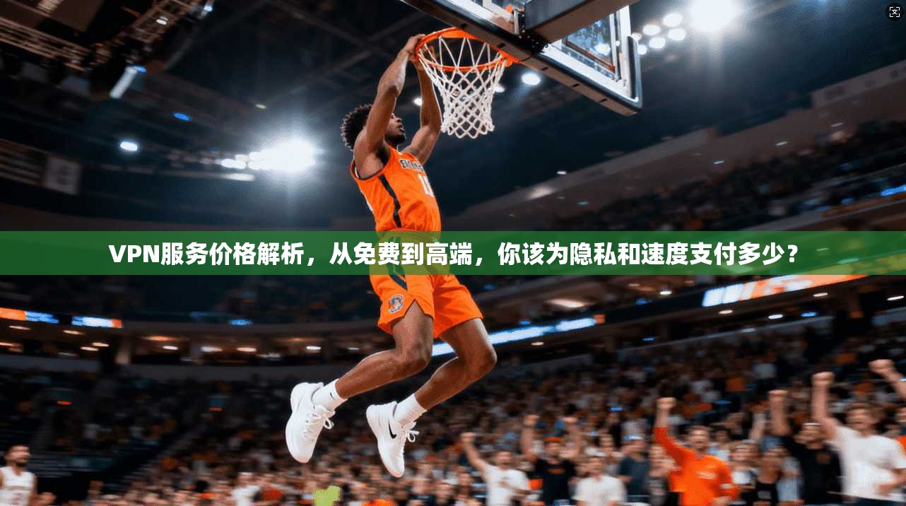 VPN服务价格解析，从免费到高端，你该为隐私和速度支付多少？