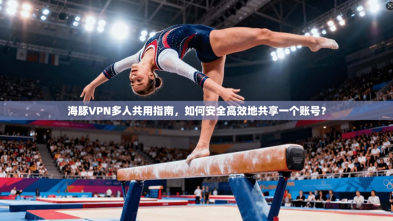 海豚VPN多人共用指南,如何安全高效地共享一个账号?