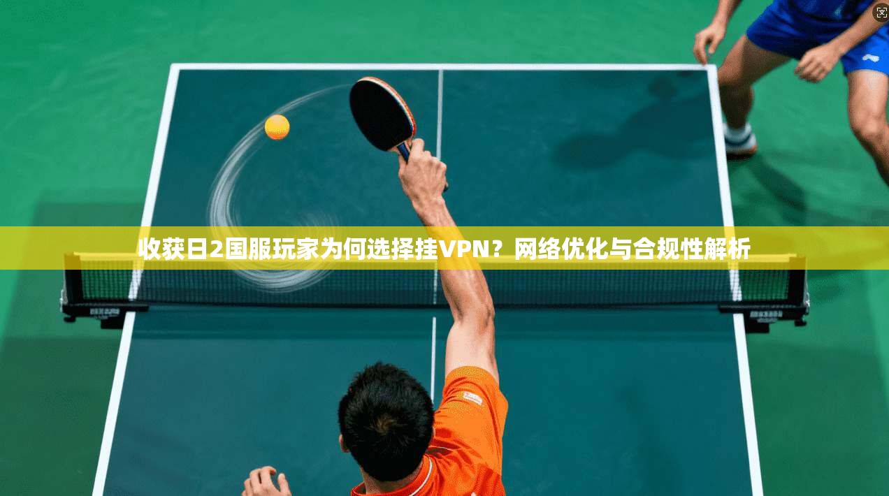 收获日2国服玩家为何选择挂VPN?网络优化与合规性解析