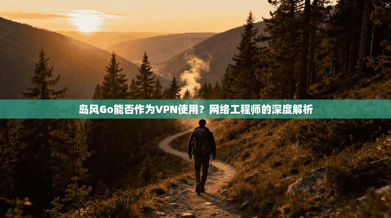 岛风Go能否作为VPN使用?网络工程师的深度解析