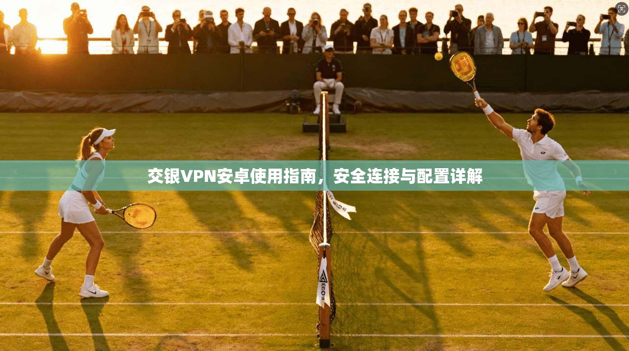 交银VPN安卓使用指南，安全连接与配置详解