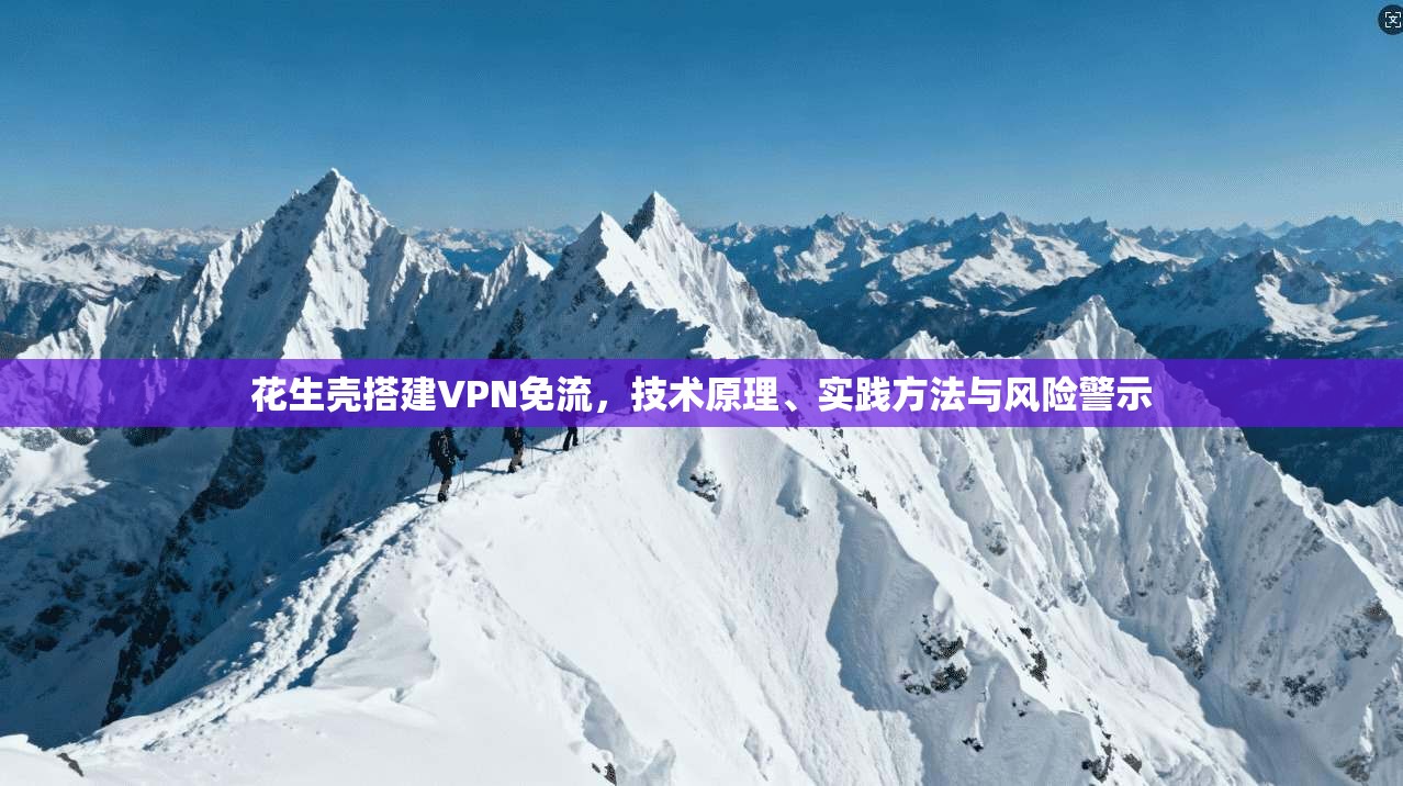 花生壳搭建VPN免流,技术原理、实践方法与风险警示