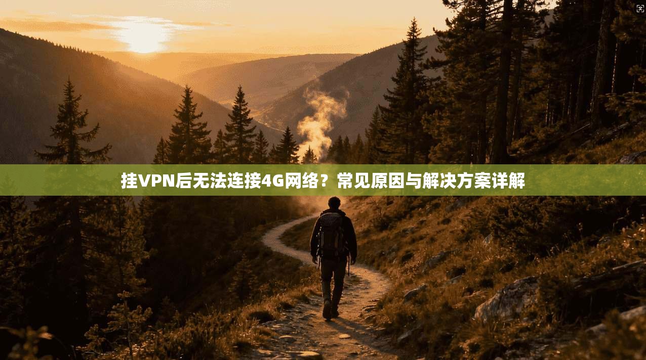 挂VPN后无法连接4G网络?常见原因与解决方案详解
